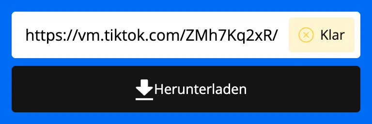 TikTok-Link im Eingabefeld des SnapTik Downloaders
