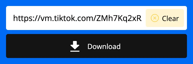 TikTok link pasted into the SnapTik downloader field
