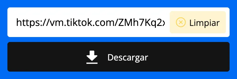 Enlace de TikTok pegado en el campo del descargador SnapTik