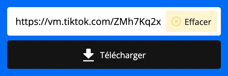Lien TikTok collé dans le champ du téléchargeur SnapTik
