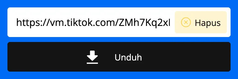 Link TikTok ditempel di kolom downloader SnapTik