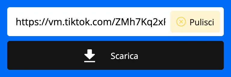Link TikTok incollato nel campo del downloader SnapTik