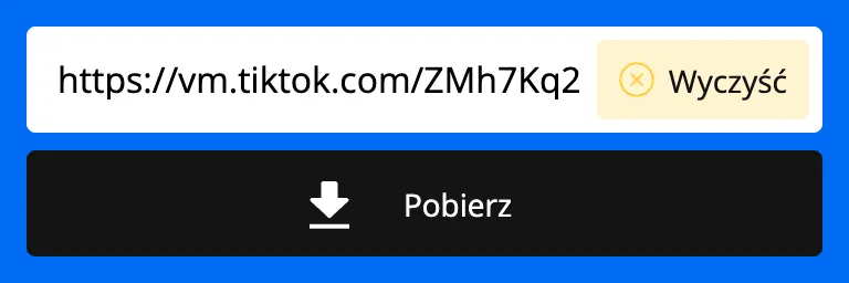 Link z TikToka wklejony w pole pobierania SnapTik