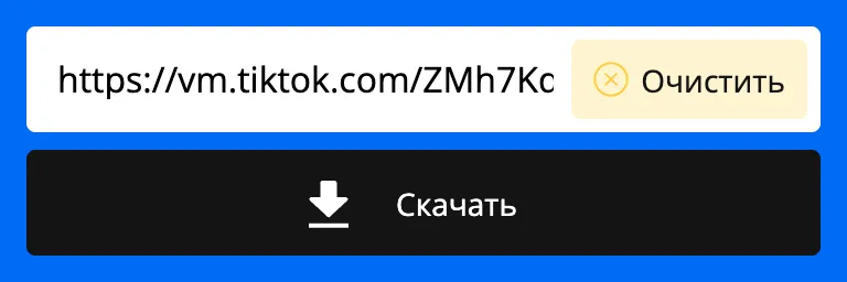 Ссылка на TikTok вставлена в поле загрузчика SnapTik