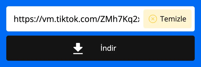 SnapTik indirici alanına yapıştırılmış TikTok bağlantısı
