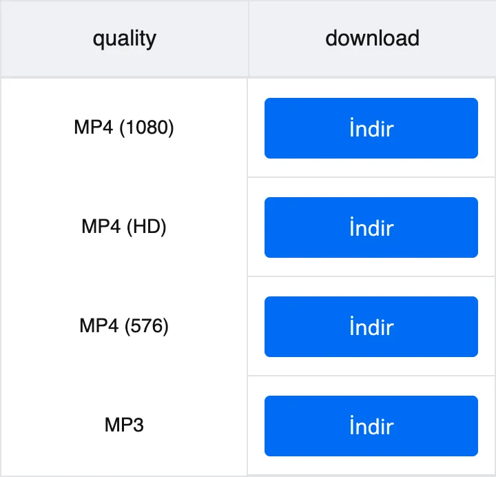 TikTok videosu işlendikten sonra MP4 1080p, 720p, 576p ve MP3 seçenekleri