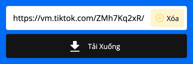 Link TikTok được dán vào ô tải của SnapTik